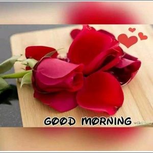 Meet your Posher, Karamjit